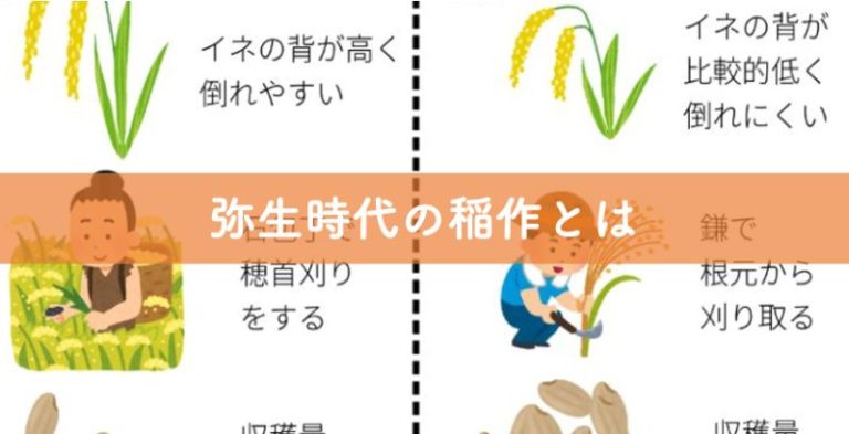 【弥生時代の稲作とは】日本の米づくりの始まりをわかりやすく解説｜リベラルアーツガイド